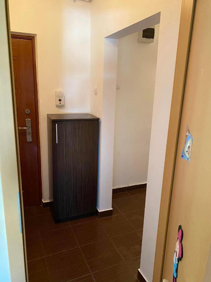 Apartament Piata Verde Timisoara Ngoại thất bức ảnh